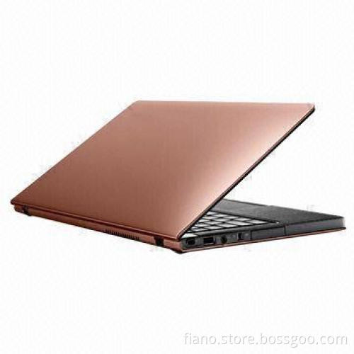 Mini Laptop with 7.4V to 3,500mAh Capacity, Intel Atom N450 CPU and 160/320GB HDD